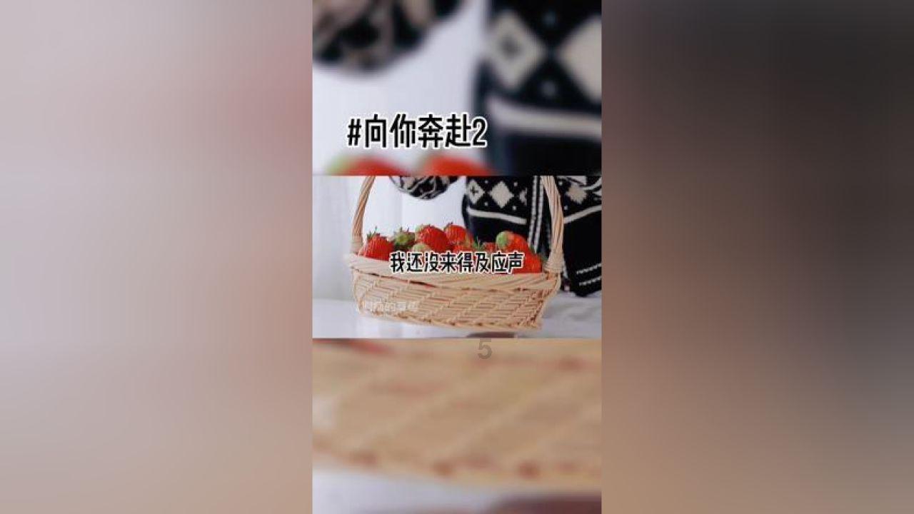 热带假日