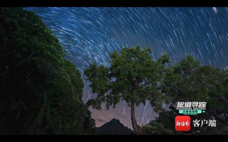 迷失的考古女孩