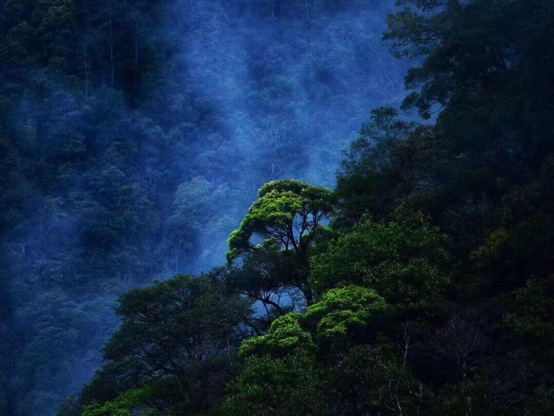 风色幻想XX