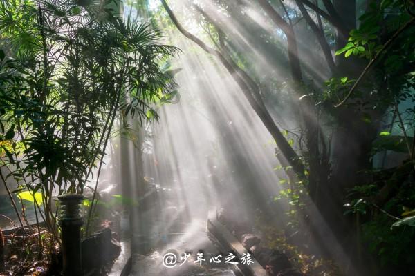 奔跑吧兄弟大冒险2