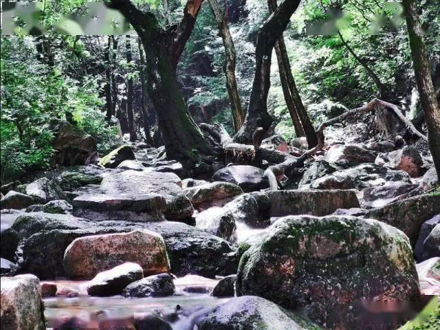 废弃的高楼逃脱2