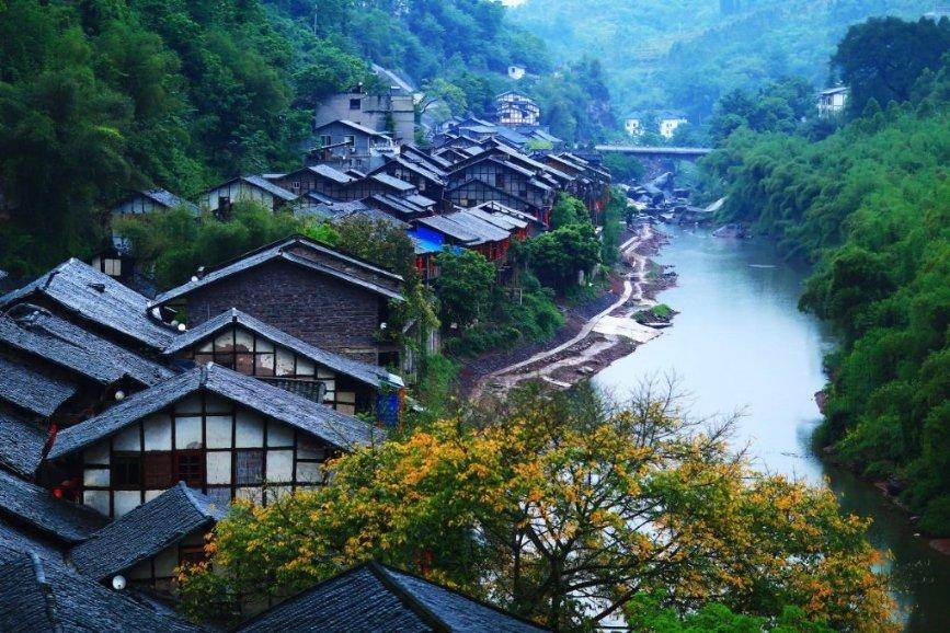 丛林森林逃生